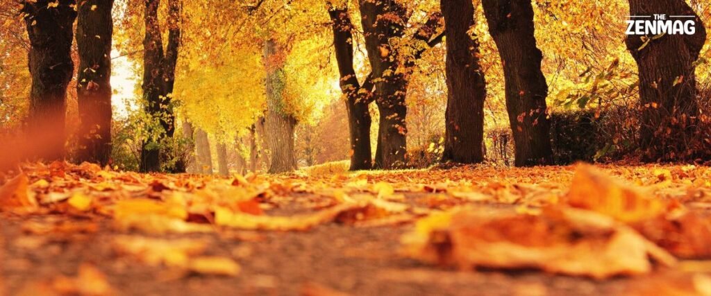 Nothing Lasts Forever: Embracing the Beauty of Mujō in Everyday Life