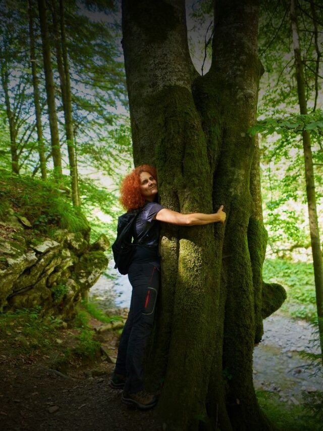 Tree Hugging Isn’t Just a Hippie Thing